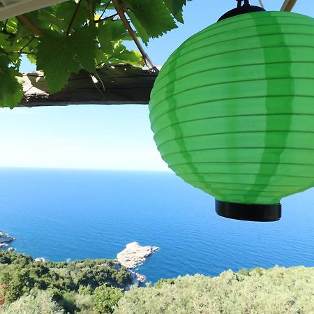 Fakistra'S Blue House Villa Tsagarada Bagian luar foto