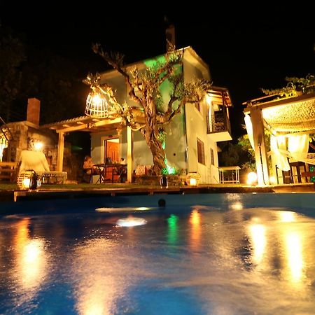Fakistra'S Blue House Villa Tsagarada Bagian luar foto
