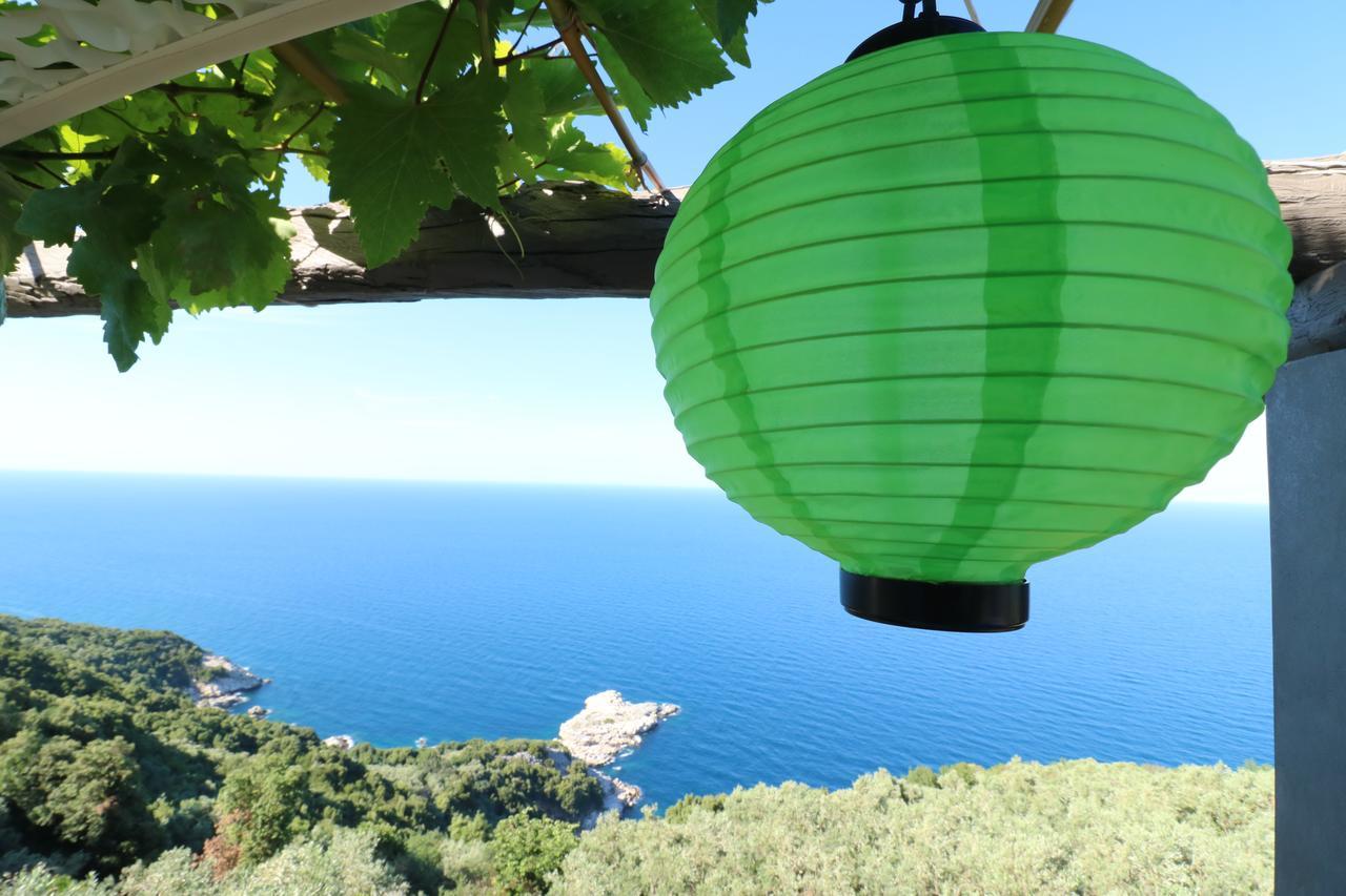 Fakistra'S Blue House Villa Tsagarada Bagian luar foto